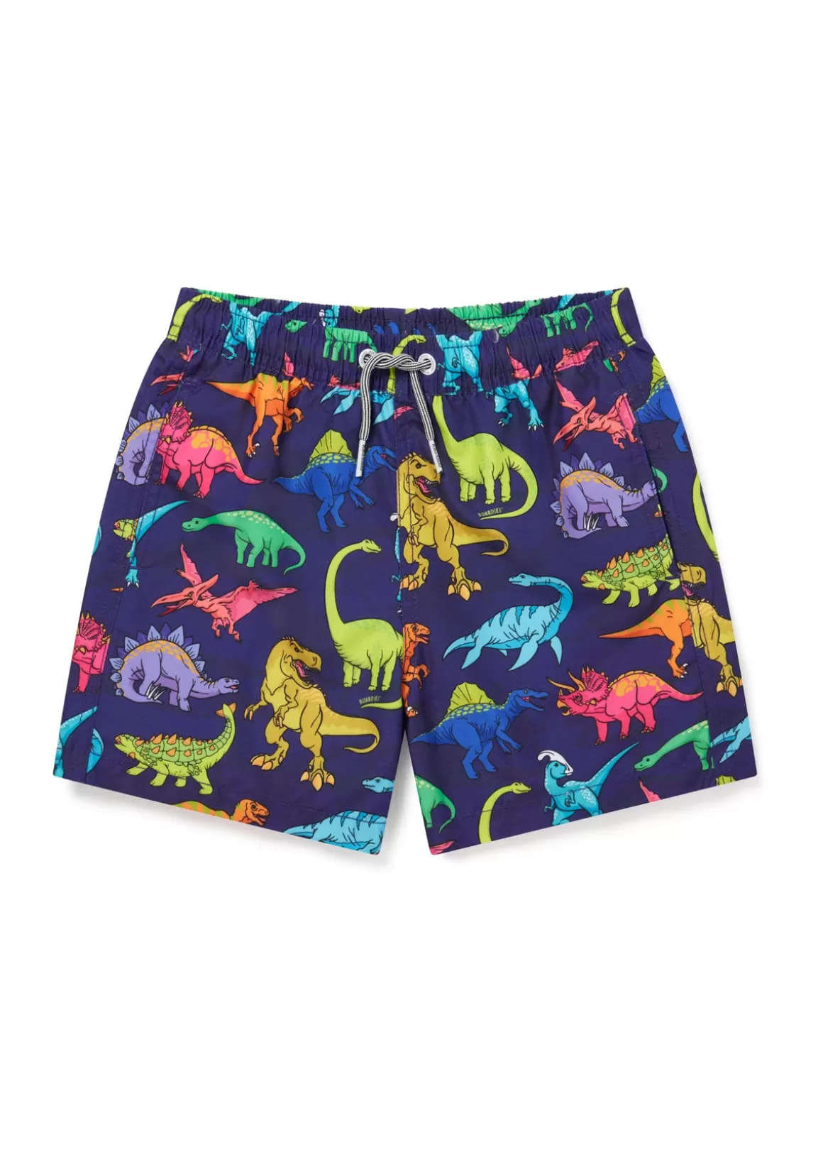 Boardies Apparel Kids Vibrant Dino