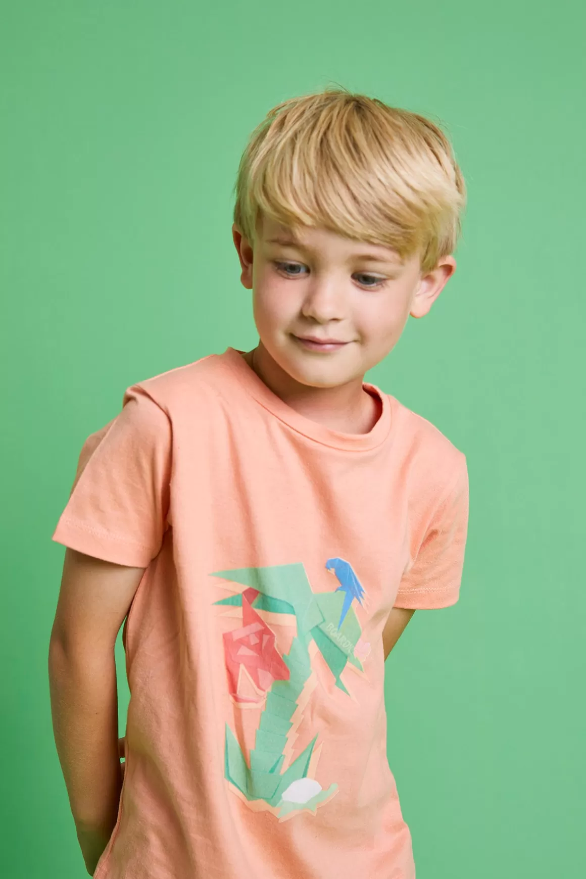 Boardies Apparel Origami Kids T-Shirt